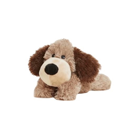 Chocolate the Dog